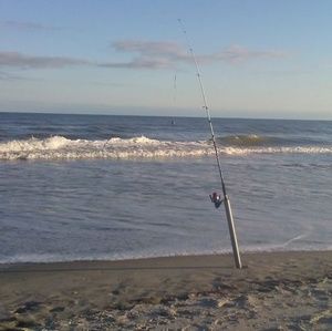 Meet your Posher, Paul